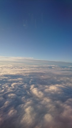 DSC_0709